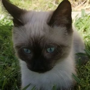 Meet your Posher, Julie